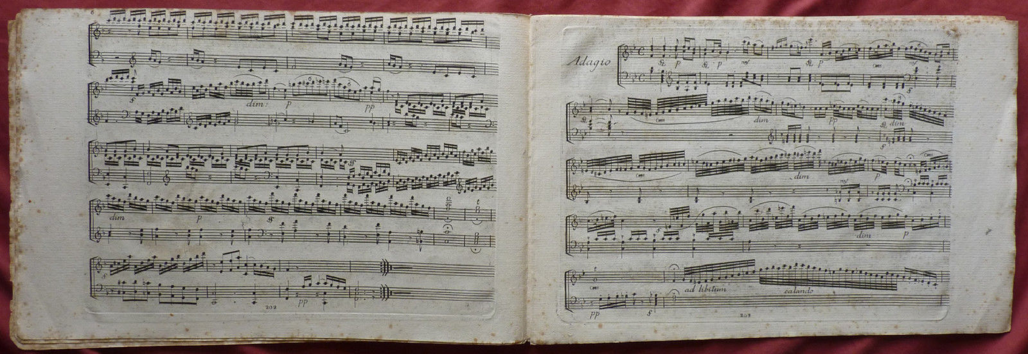 2 Piano Sonatas, Op.24 [#523353].pdf