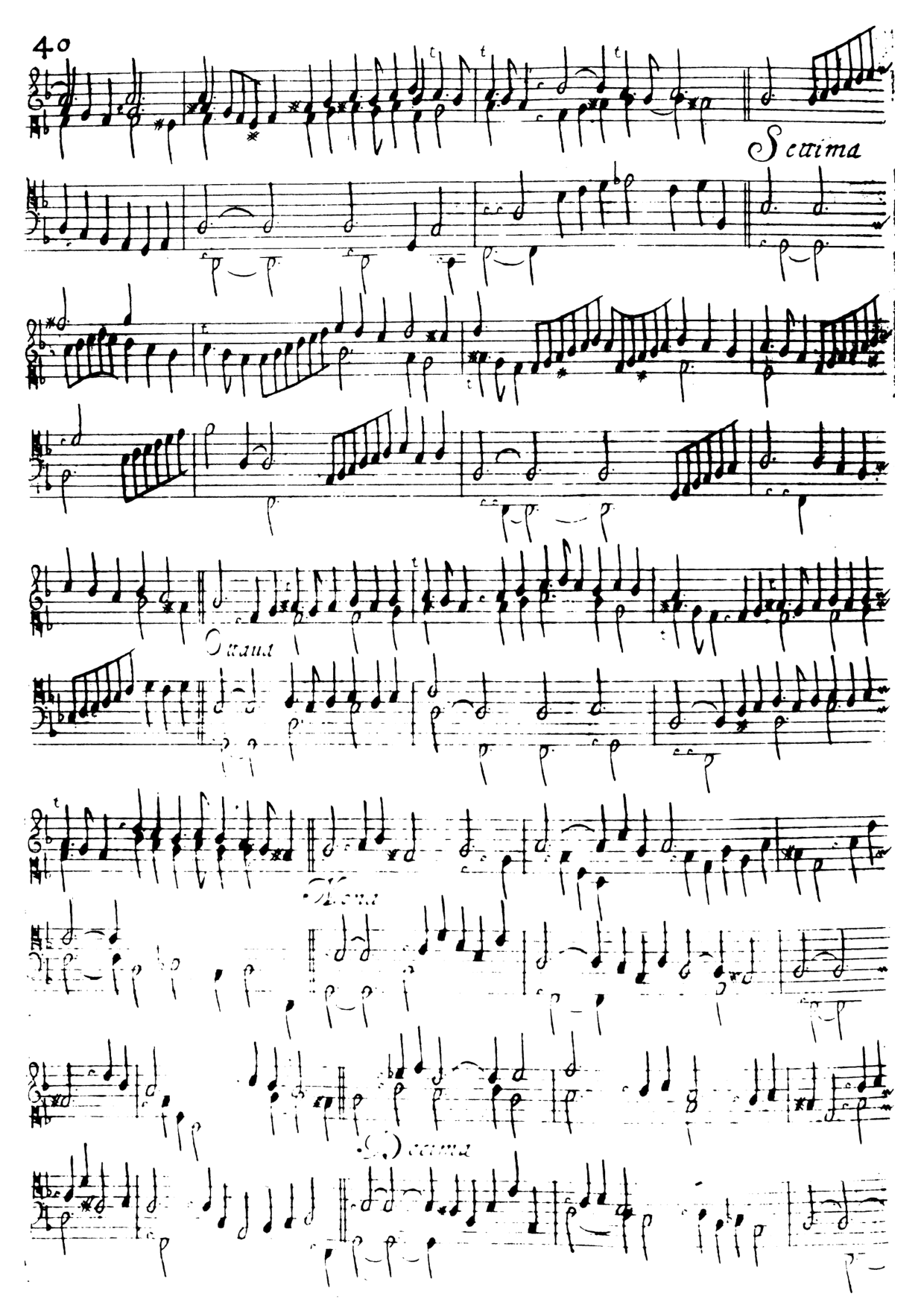 Follia [#843618].pdf